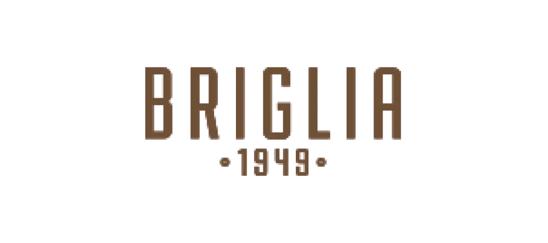 Briglia